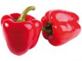 Paprika červená